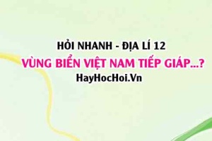 Vùng biển Việt Nam tiếp giáp với vùng biển của những quốc gia nào? Địa lí 12 Chân trời sáng tạo